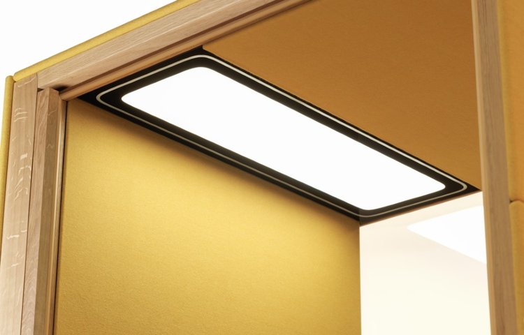 Light affects both performance and health